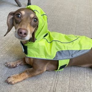 Top Paw Bright Neon Yellow Green Outdoor Raincoat For Dogs/Cats